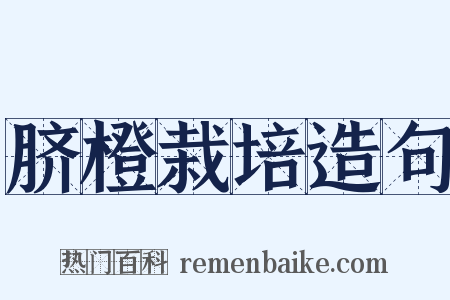 脐橙栽培造句是什么意思的图片